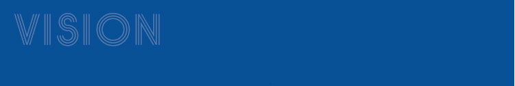 vision